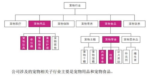 ipo定價13.71元,寵物用品和食品生產商,源飛寵物申購解讀